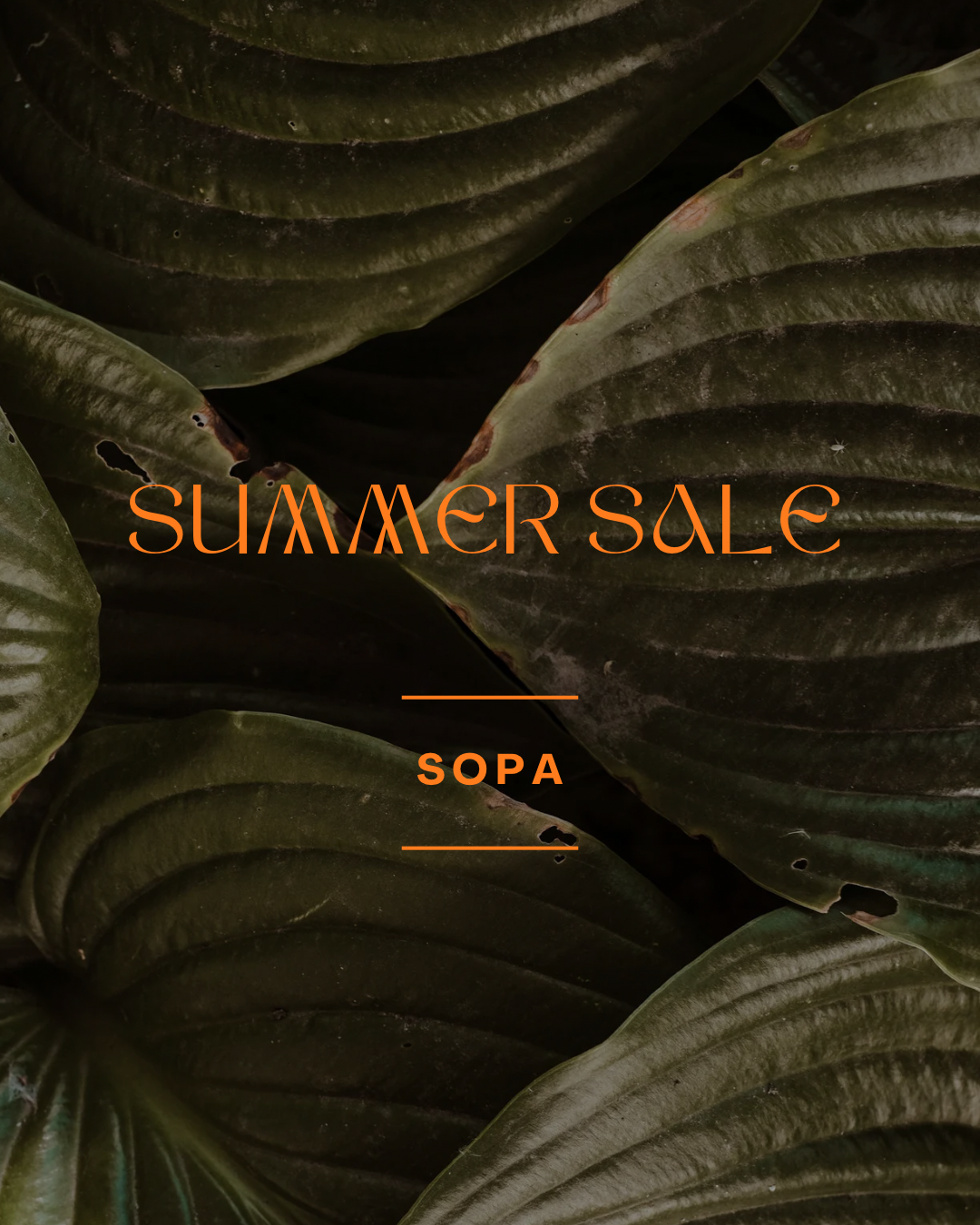 7/1(火)〜7/8(火) SUMMER SALE!!!