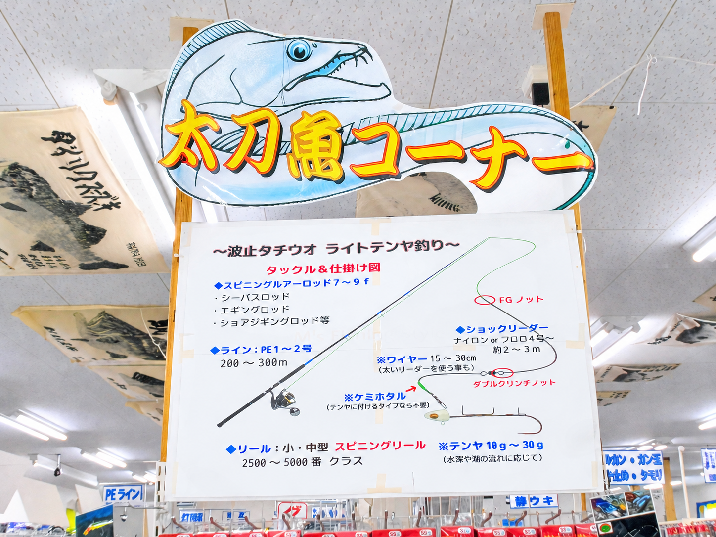 「タチウオコーナー」展示中