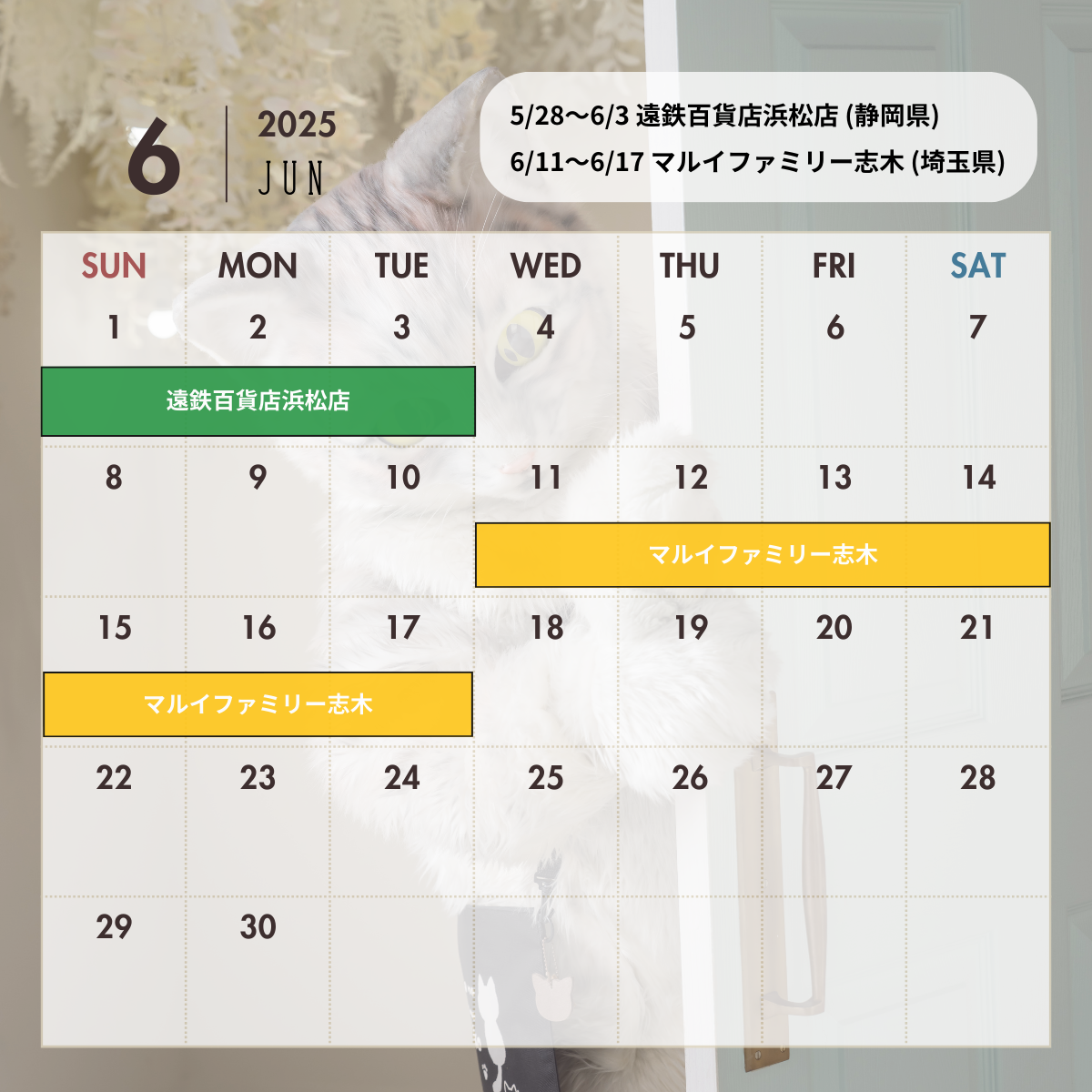 【最新】2025年6月〜2025年7月 出店情報