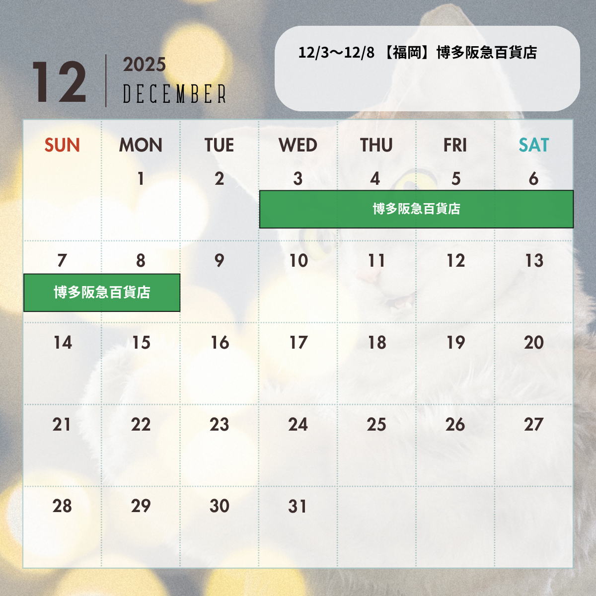 【最新】2025年12月〜2026年2月 出店情報