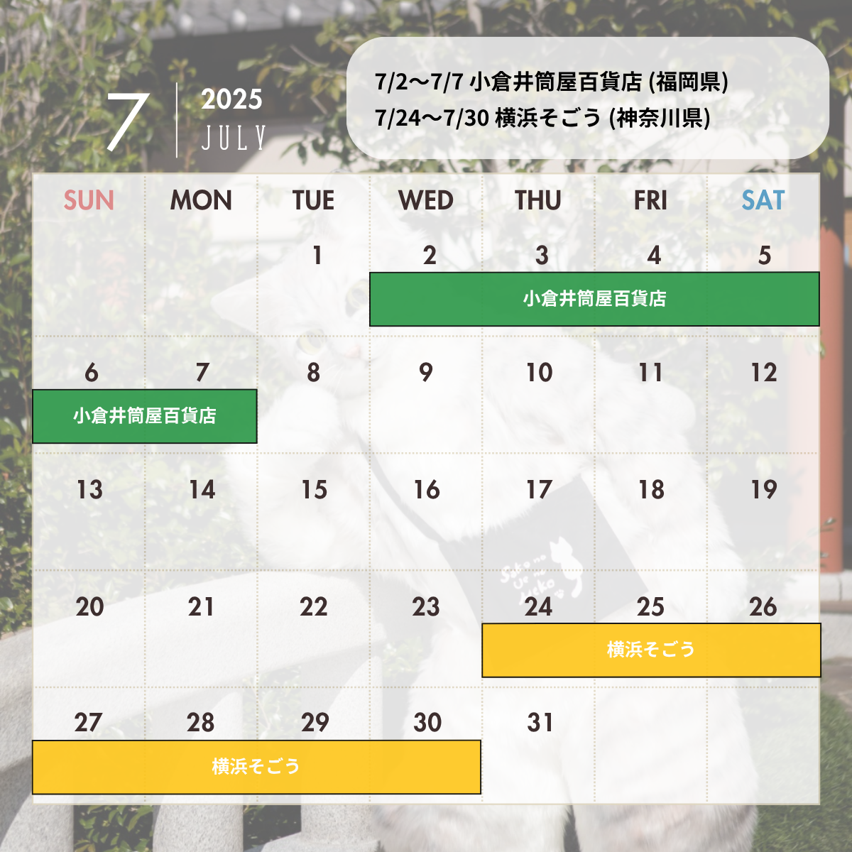 【最新】2025年7月〜2025年8月 出店情報
