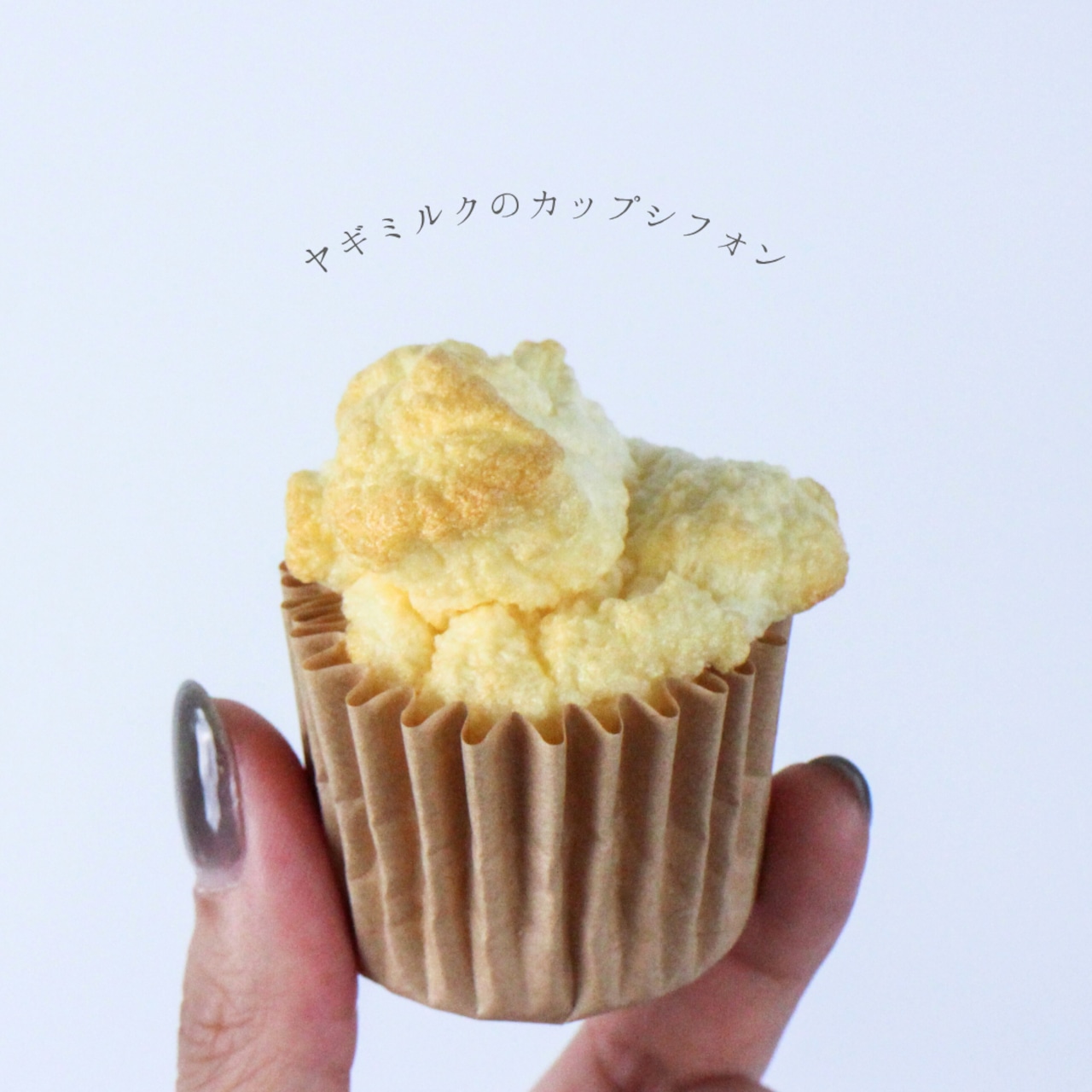 Famirilから新商品登場 🐩 🎀