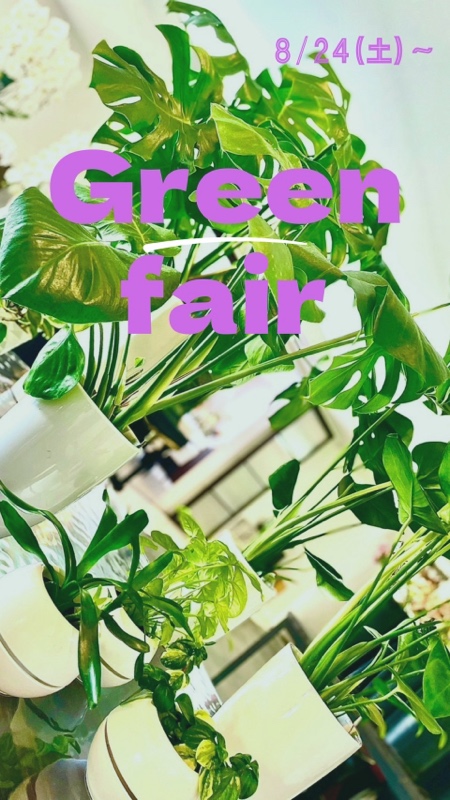 観葉植物フェア開催中