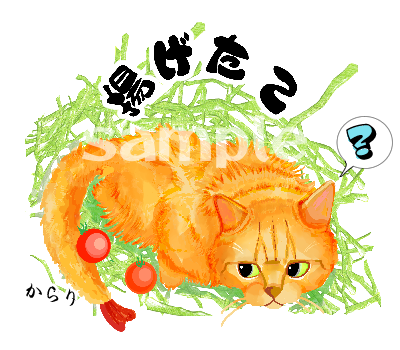 【新作】えびふりゃー
