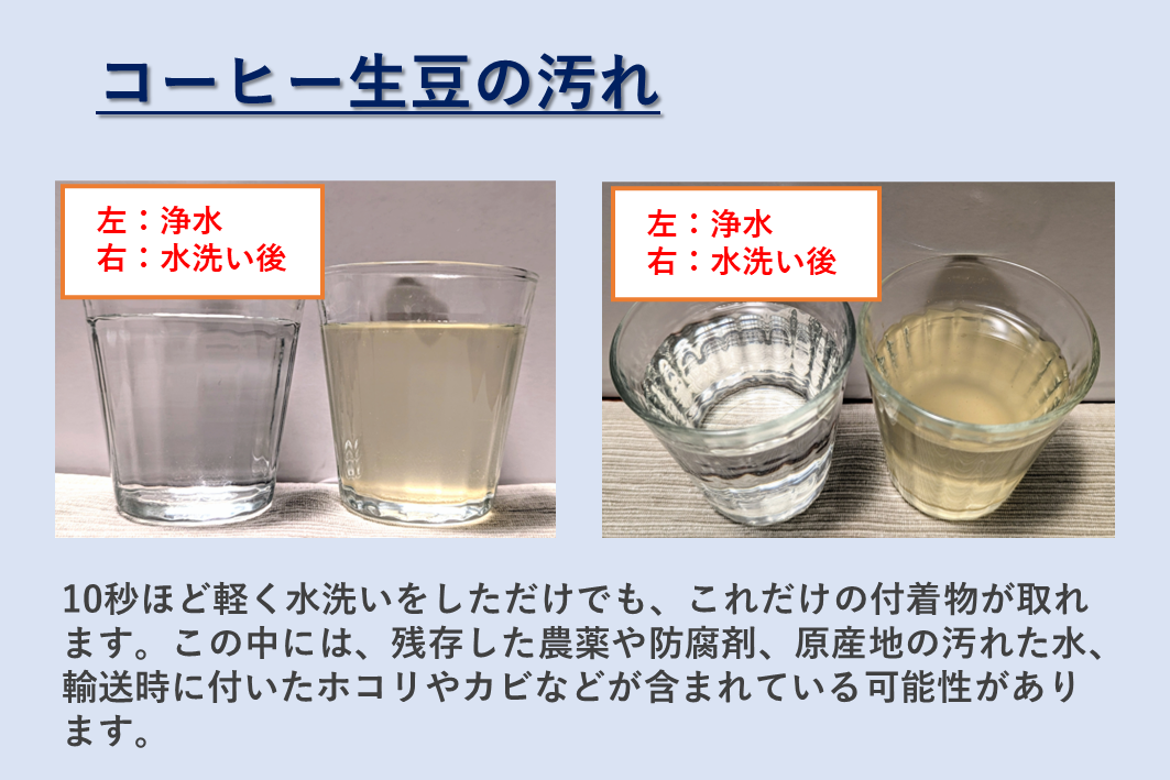 焙煎前にコーヒー生豆を水洗いする理由