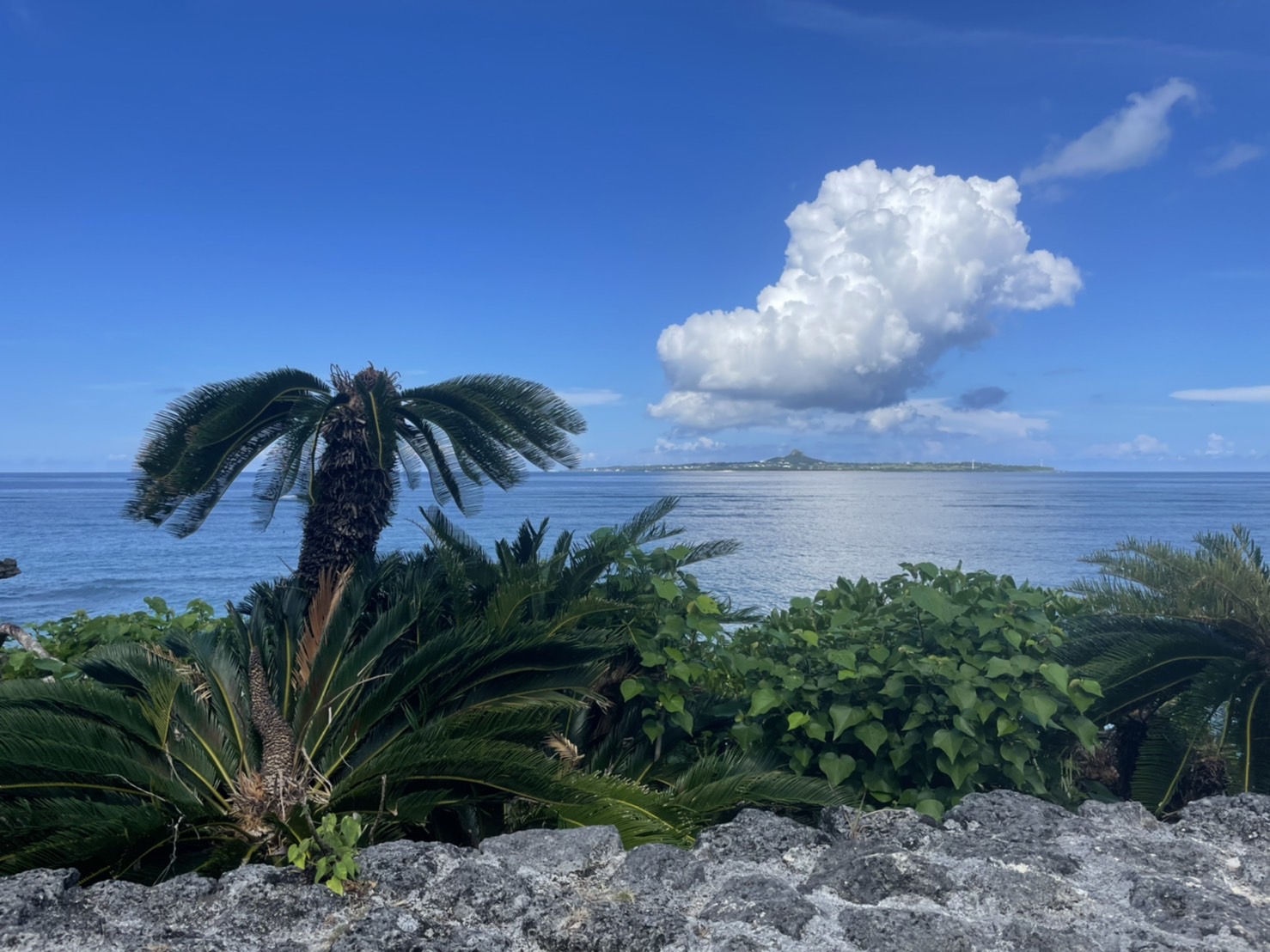 30代40代のPMSはちょっと手ごわい!
