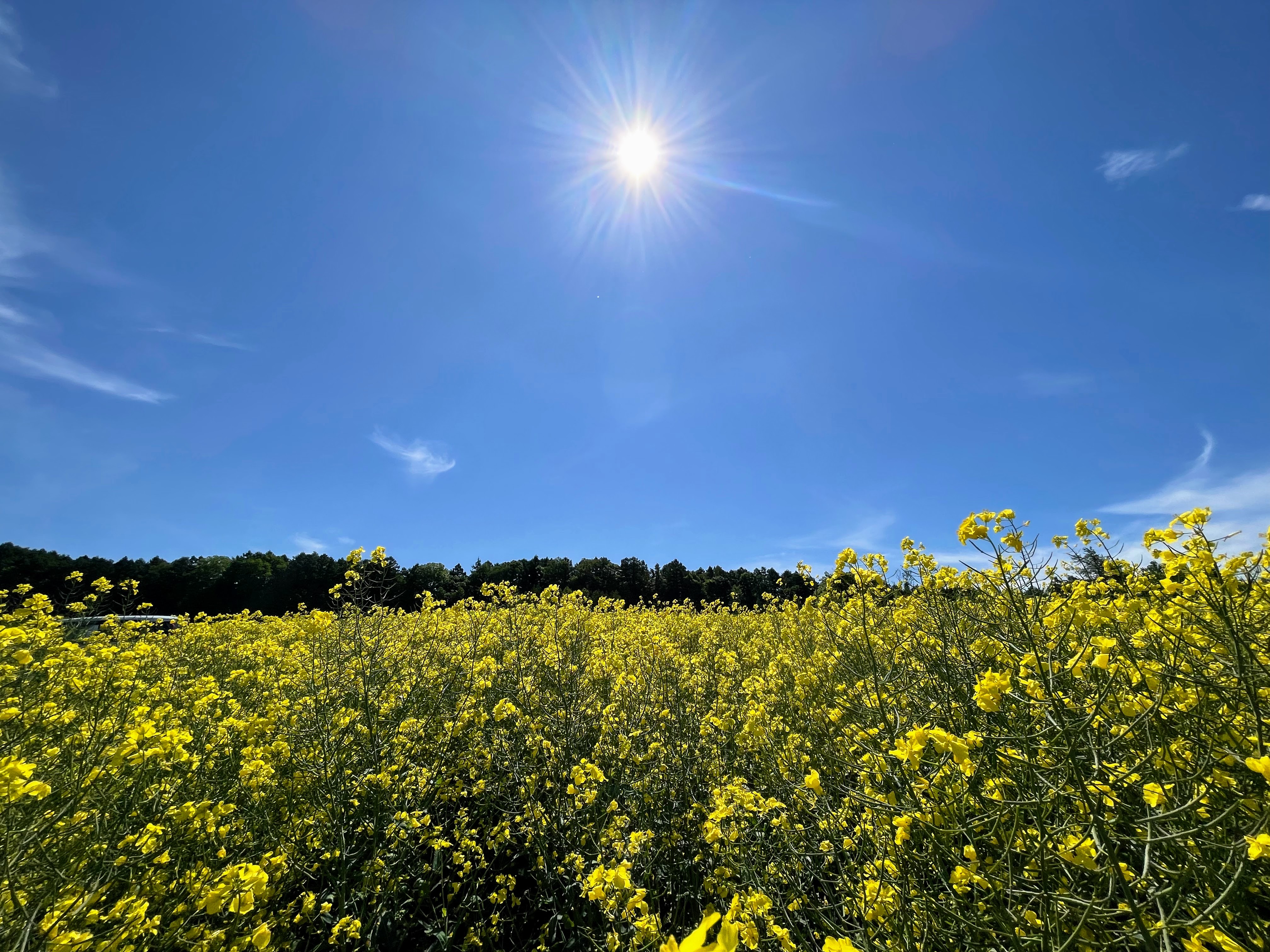 デリケートゾーンのお悩み