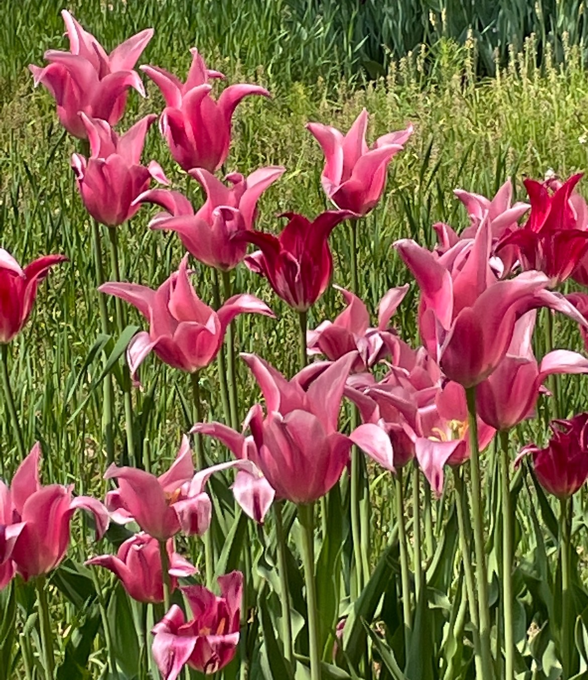 怖すぎるPFAS(ピーファス)