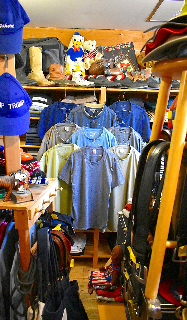 【Hanes/Bass/Champs/GILDAN】 シンプルで一番使える無地Tシャツ入荷~