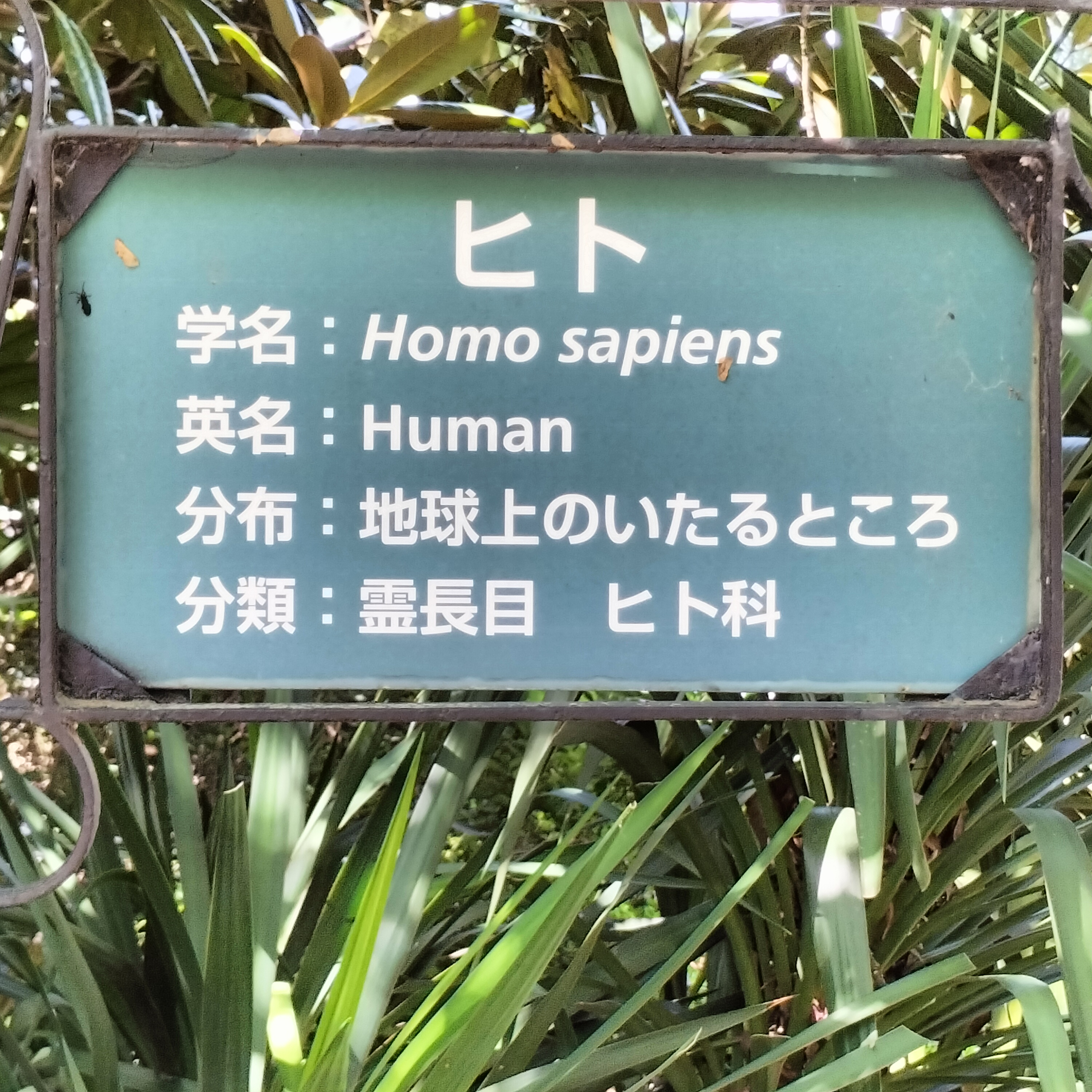 「人間」＝扱い方によっては、非常に「危険！」