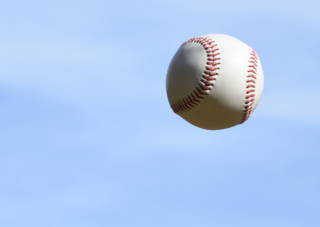 高校野球記念日