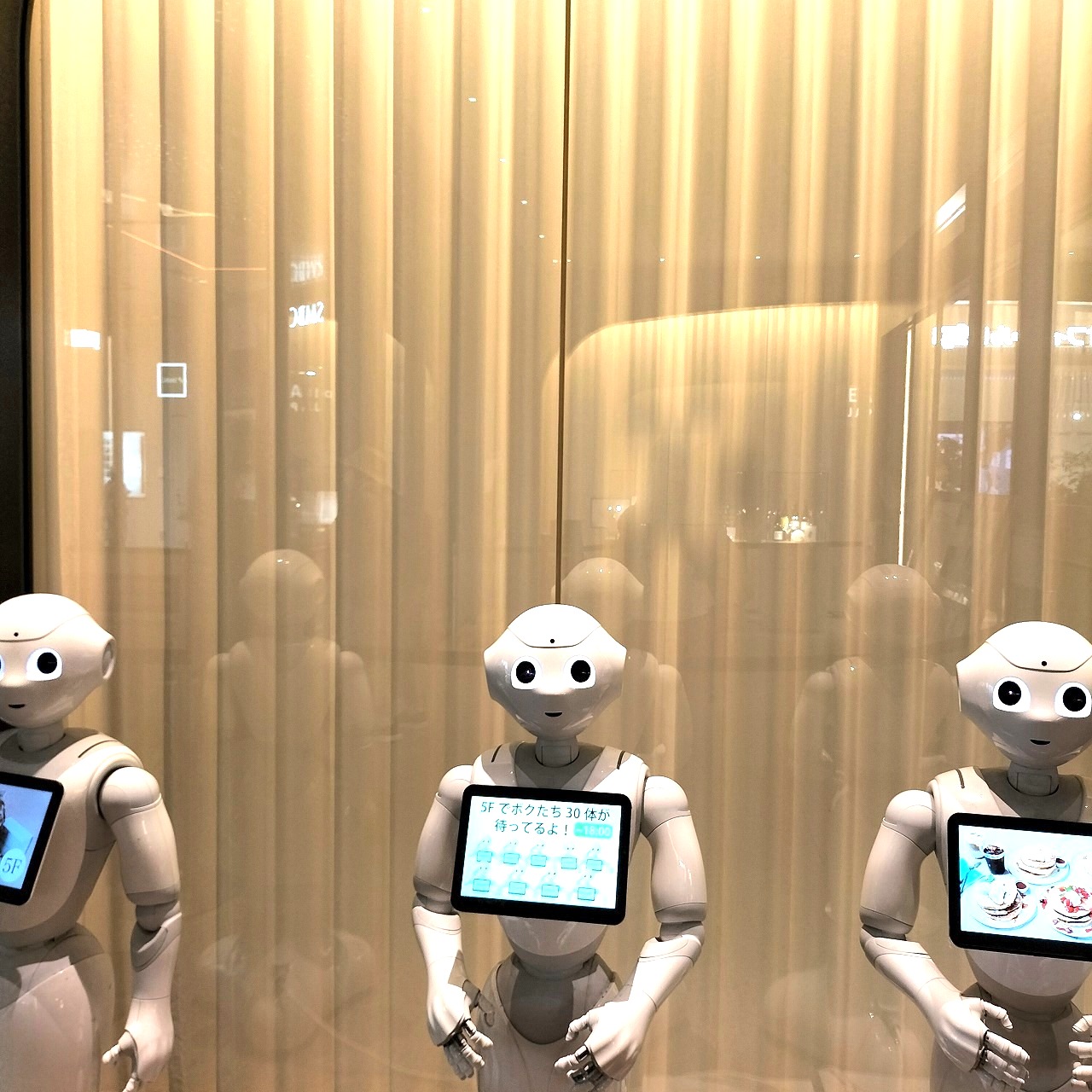 Pepper 君たちに追いかけられて