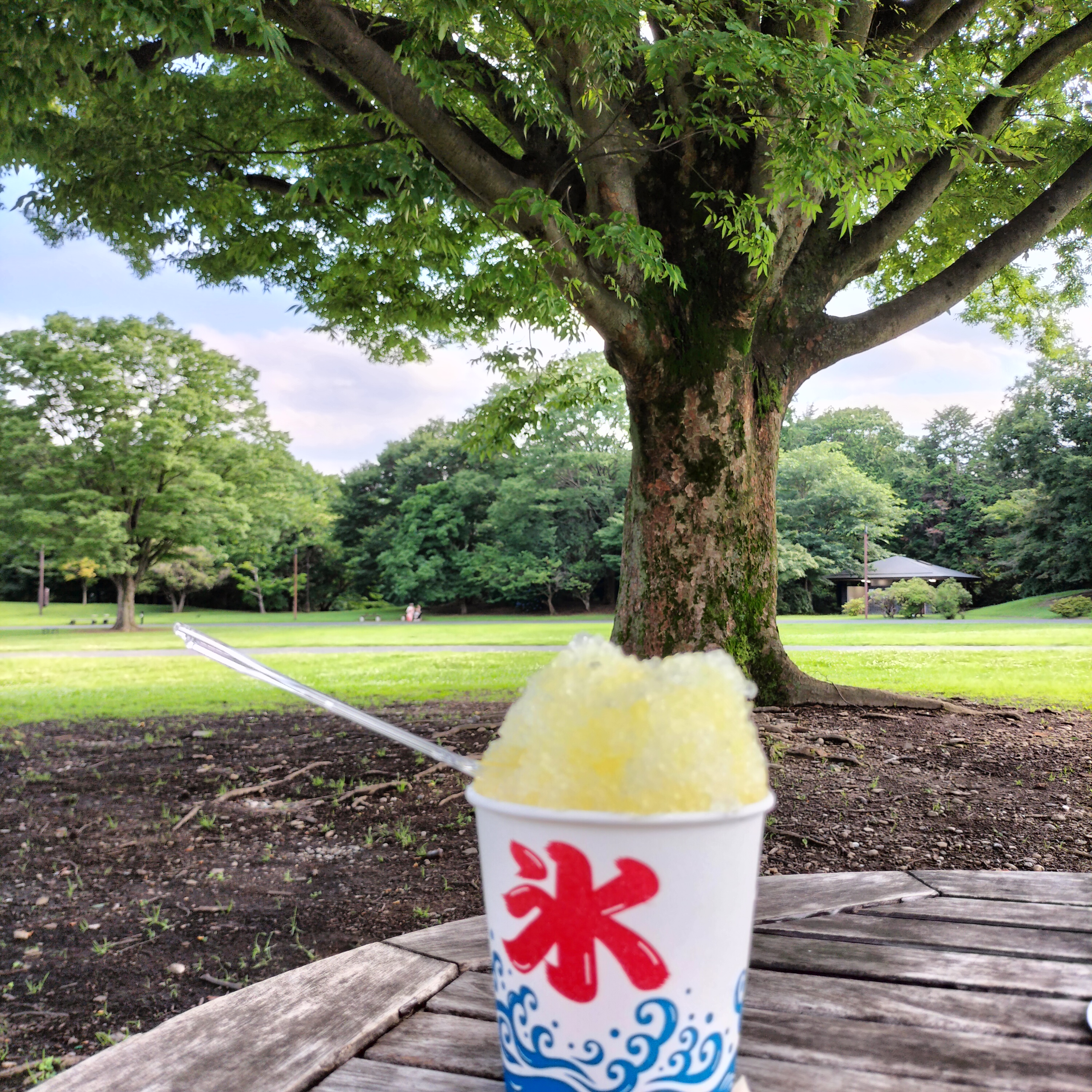 石や氷、土も食べちゃう？