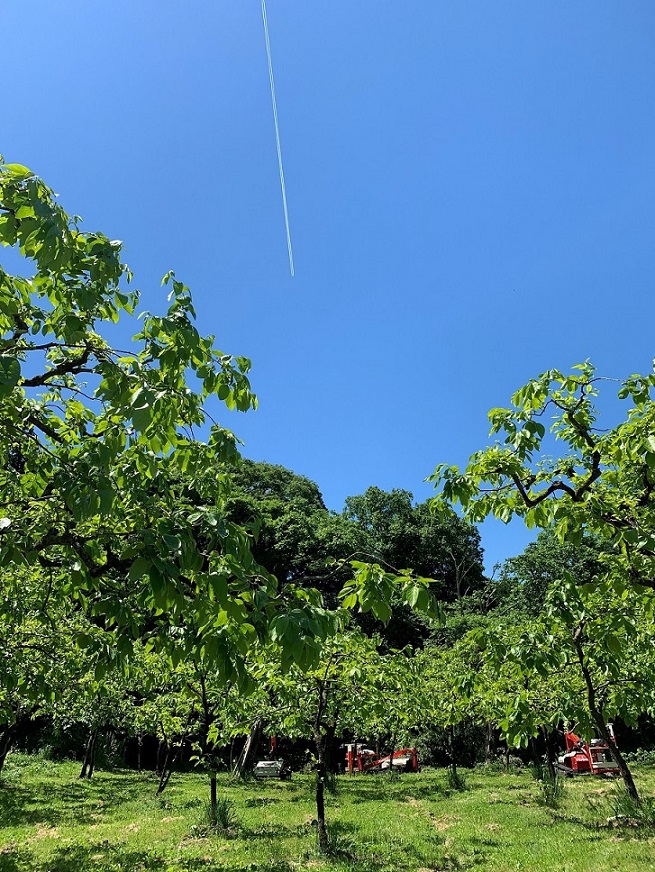 農業者あるある!?その①