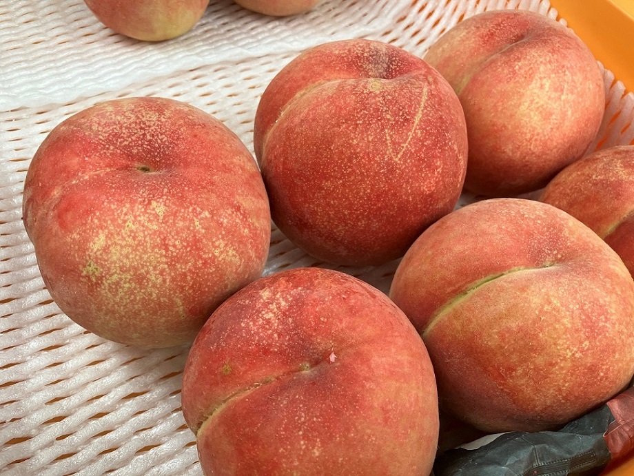 8月11日【直売所販売品種:あかつき・まどか・愛川中島】