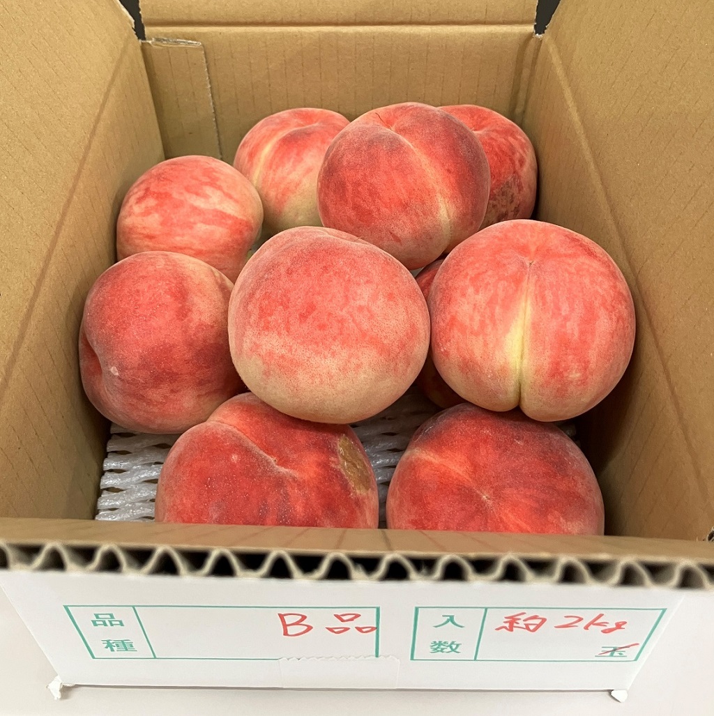 7月24日【直売所販売品種:暁星・恋みらい】