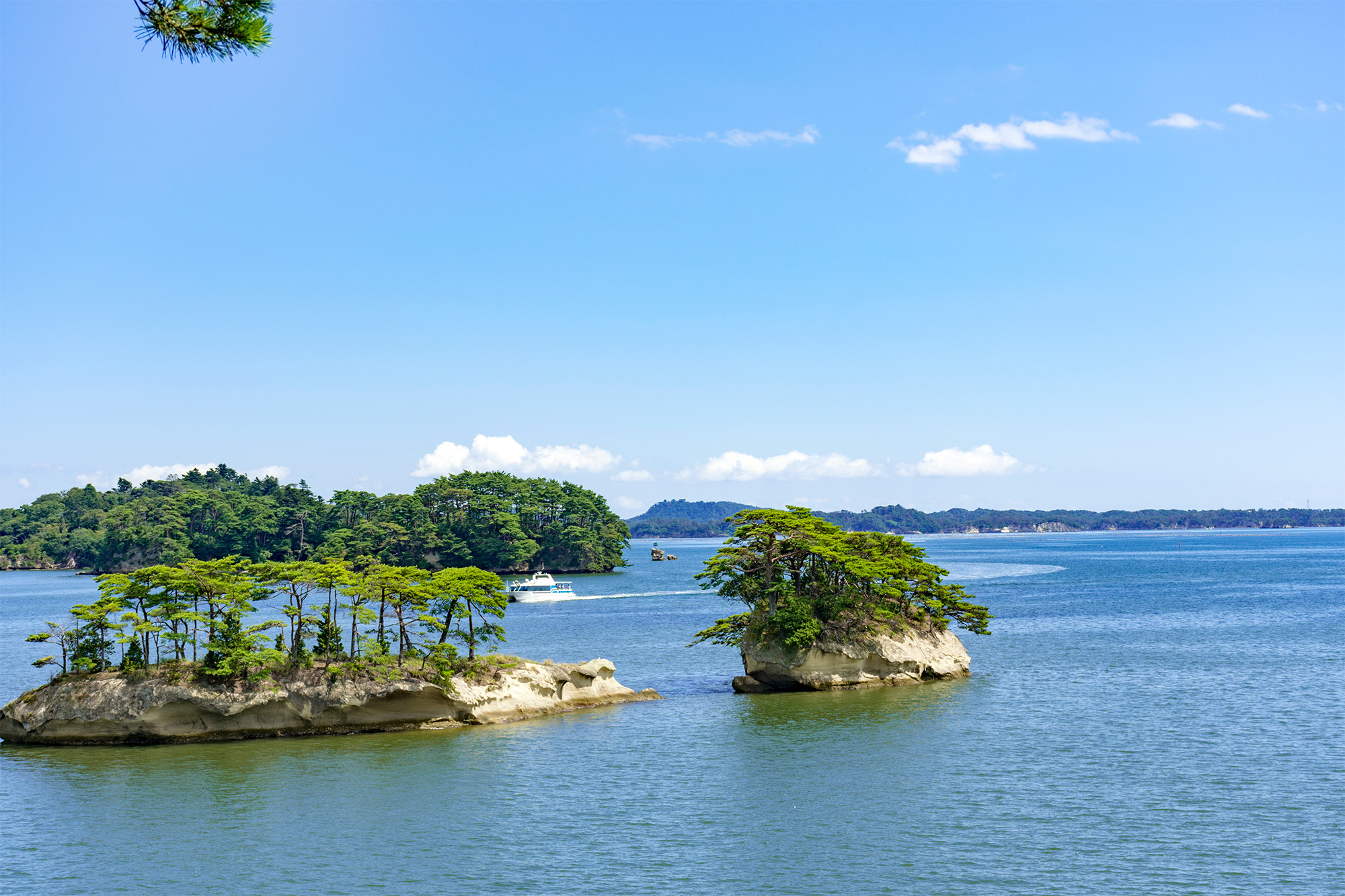 【松島ブランド】かき松島の牡蠣醤油