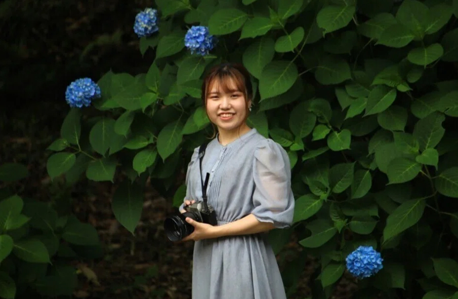 紫陽花の季節の頃　記事を書きました