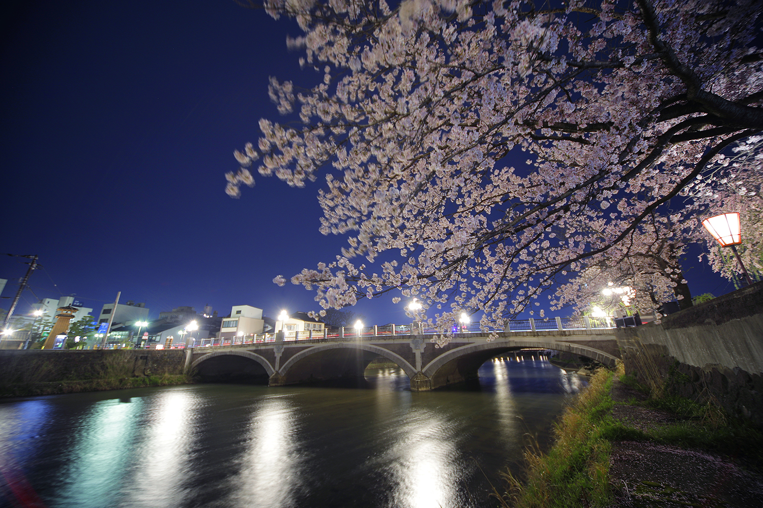 春に撮った浅野川と夜桜