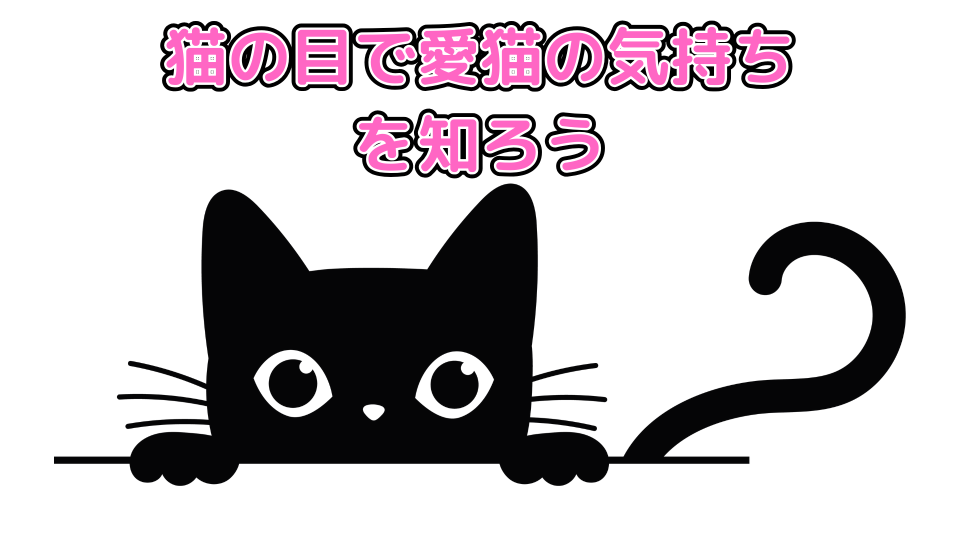 猫の目で愛猫の気持ちを知ろう！