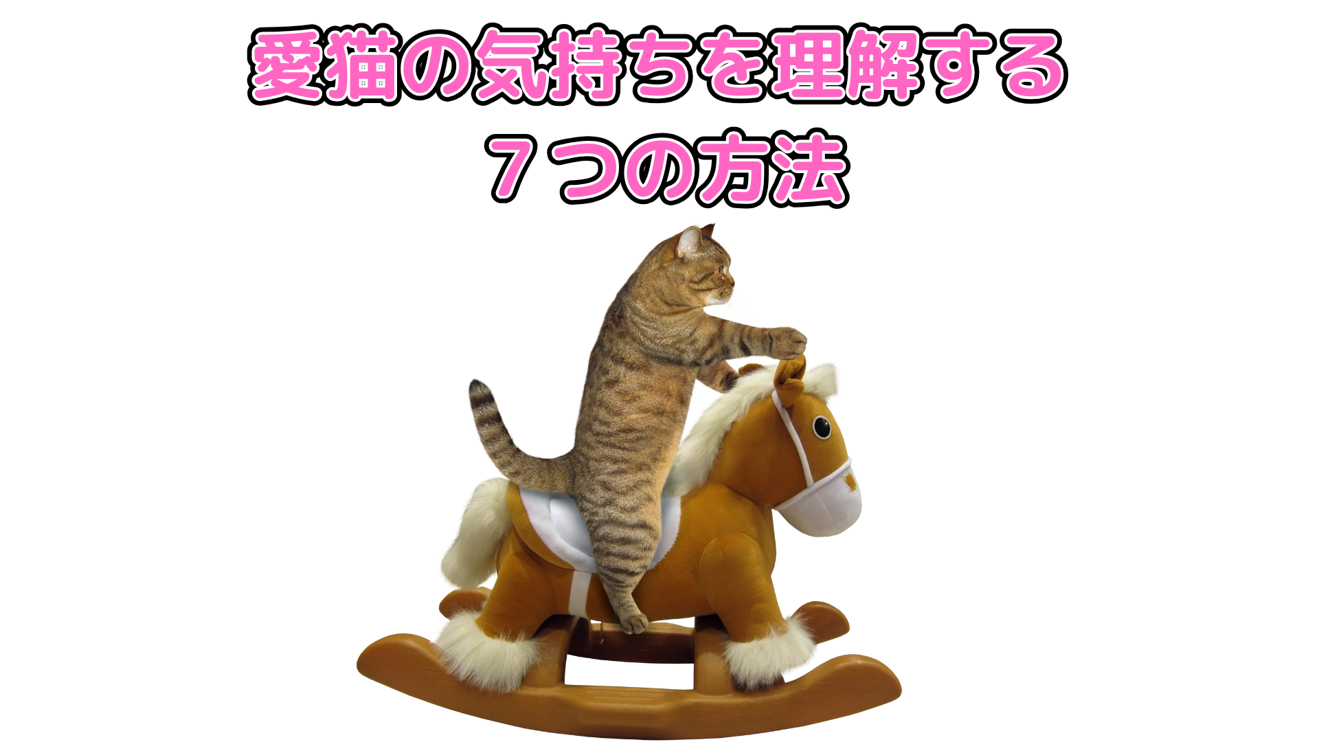 尻尾の形で猫の気持ちがわかる！？愛猫の気持ちを理解するために知っておきたい７つのこと。