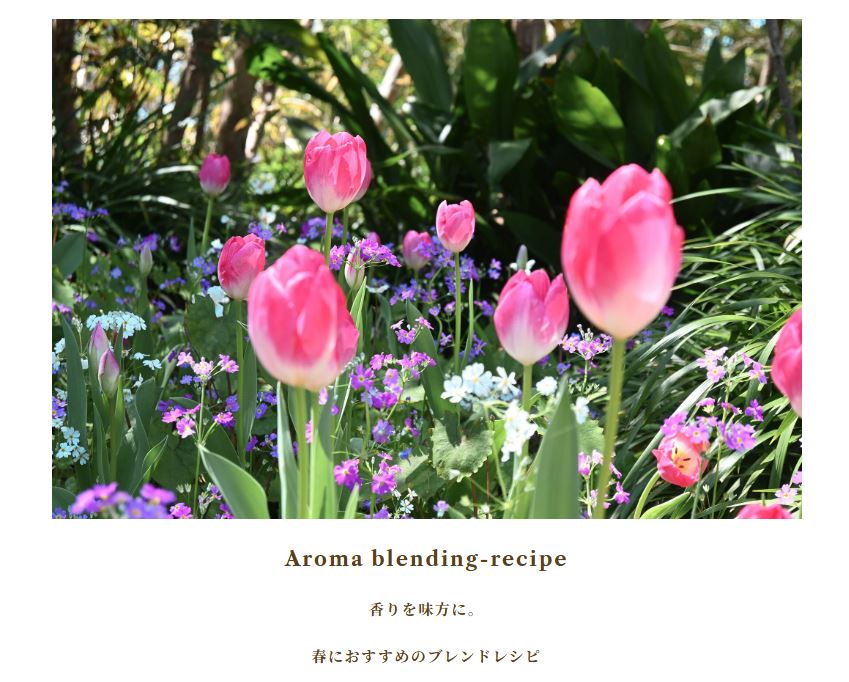 Spring has come! ブレンドレシピを更新しました♡