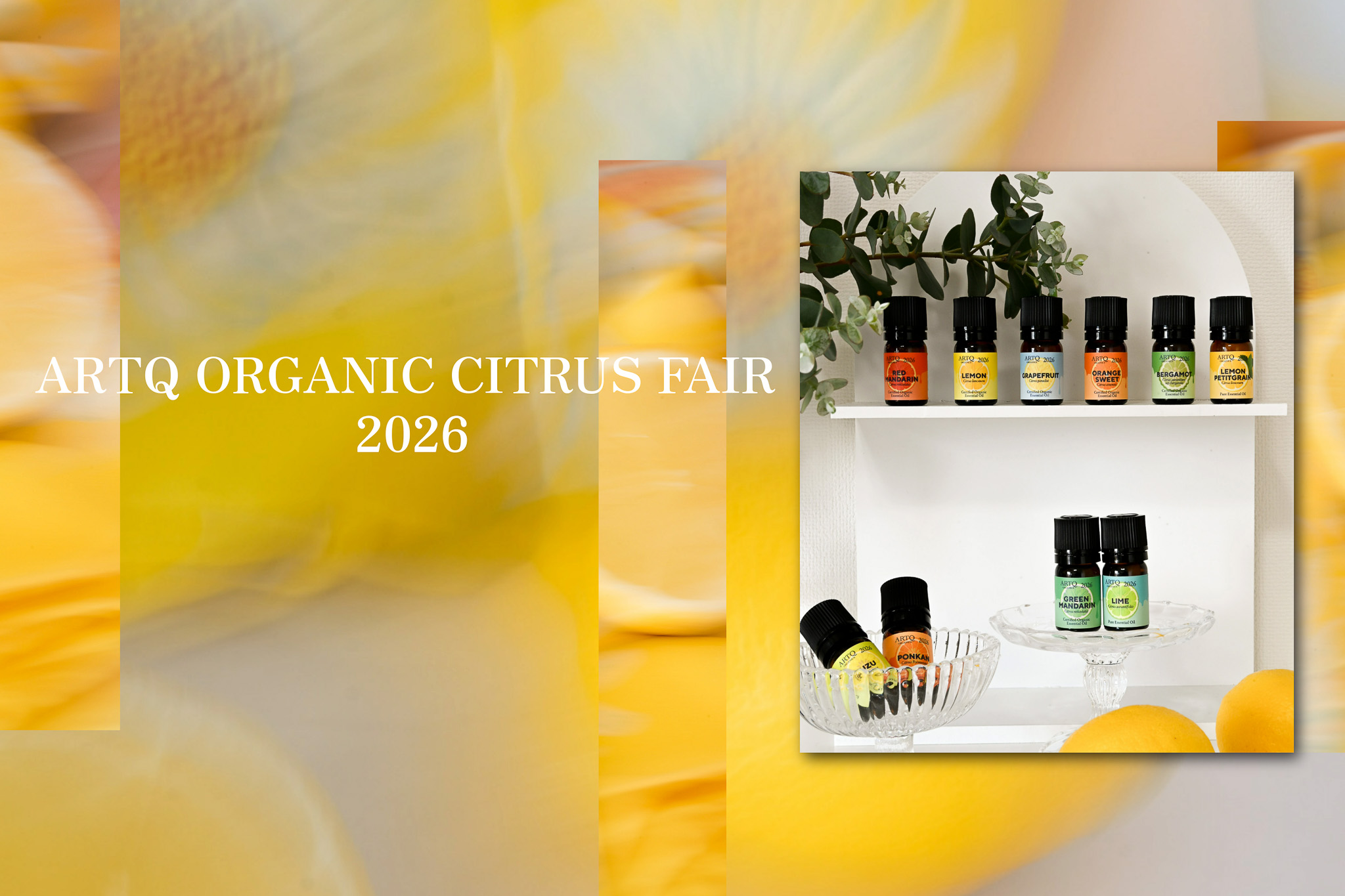 ARTQ Organic Citrus Fair 2026 発売開始！！