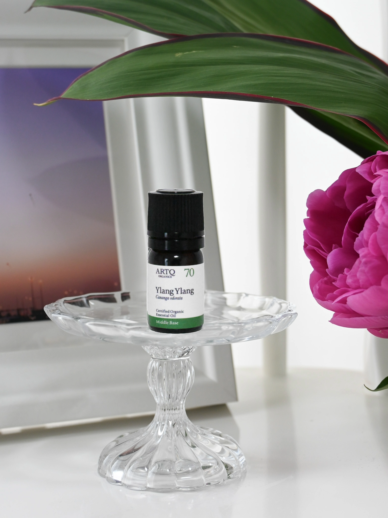 入荷情報　10/3♡