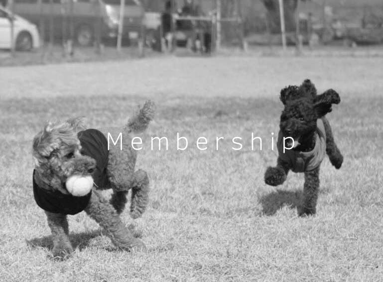 メンバーシップの開設につきまして