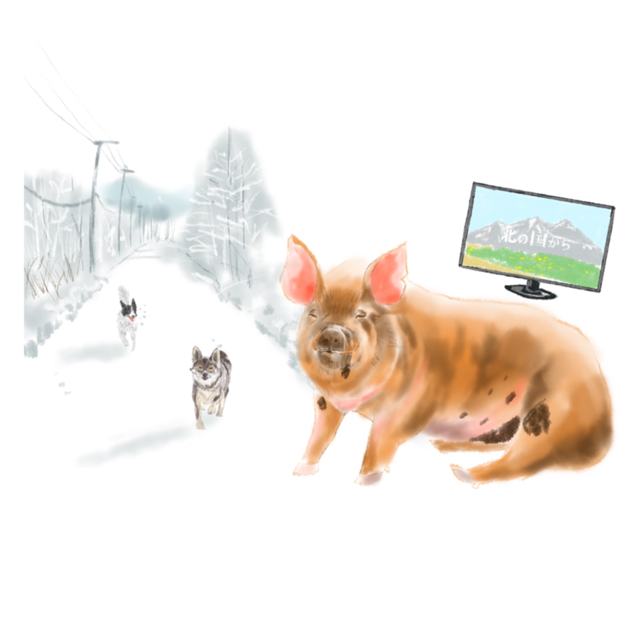 あすかのきまぐLetter vol.6