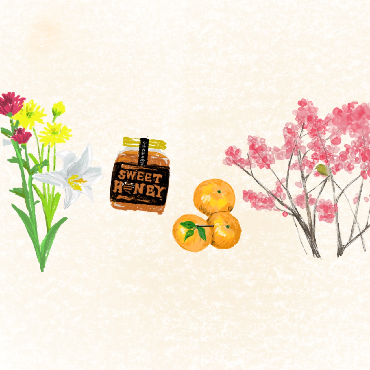 あすかのきまぐLetter vol.9