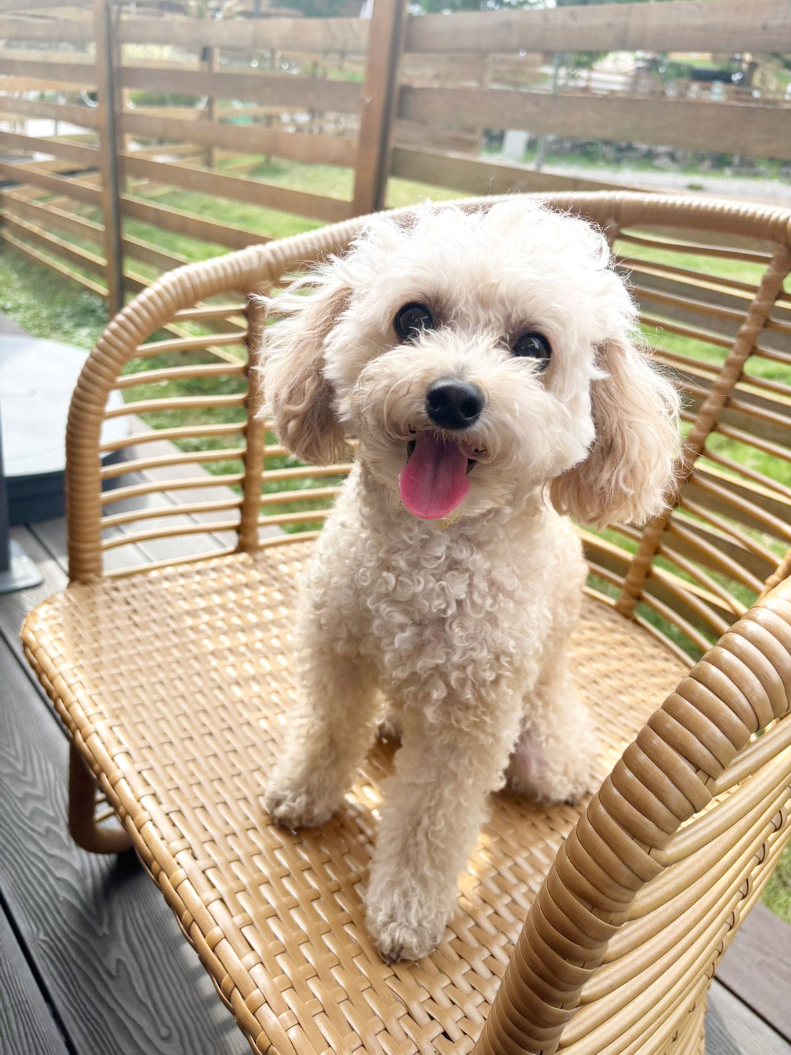 MOGUMOに込めた想い