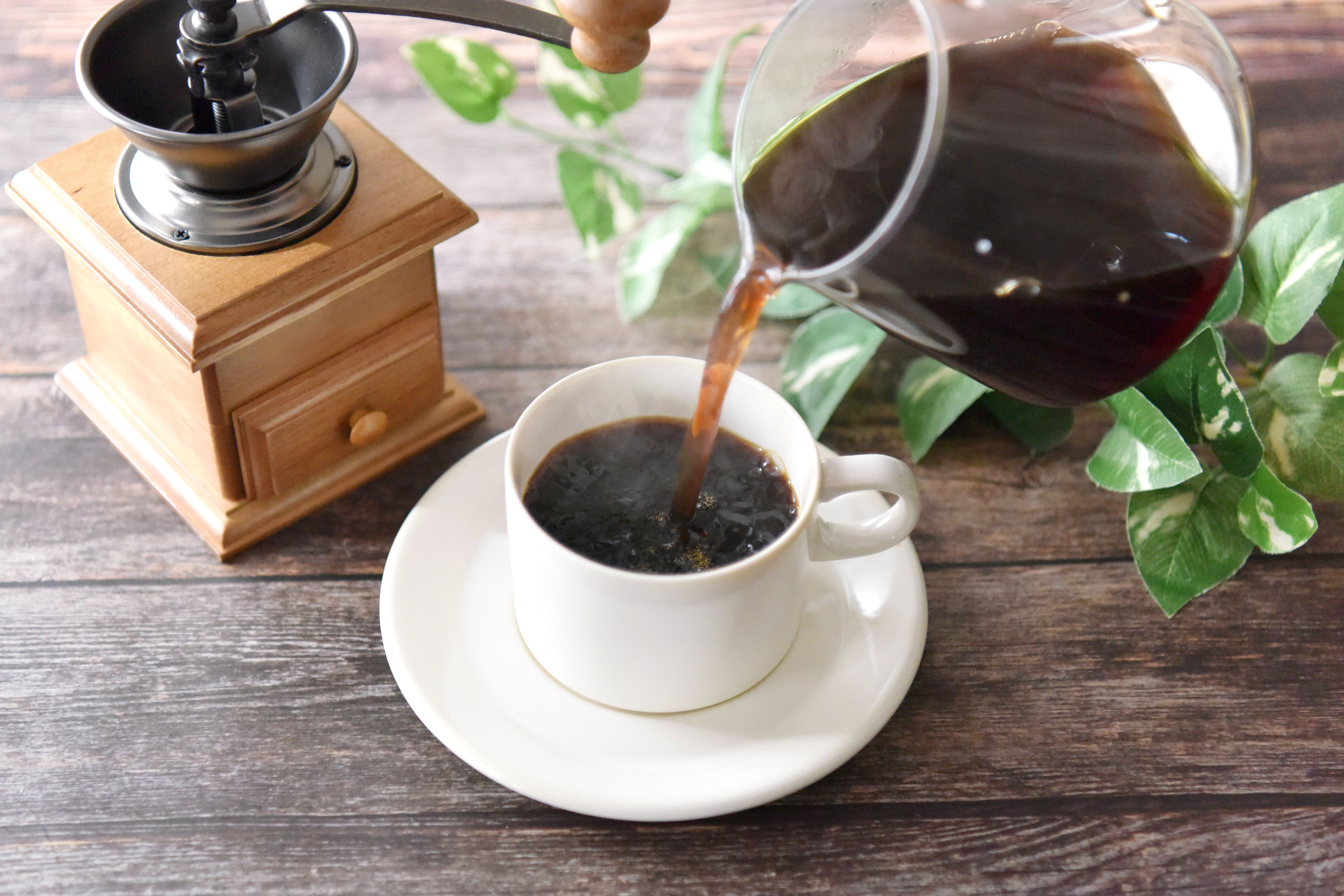 【告知】GWキャンペーン開催のおしらせ