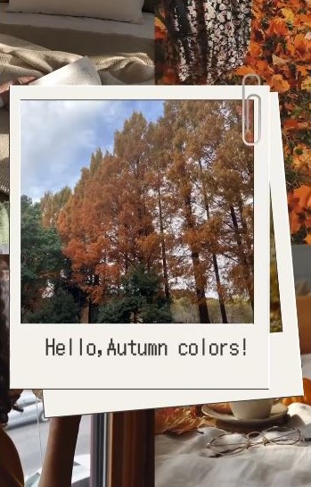 秋の深まりとベトナム料理