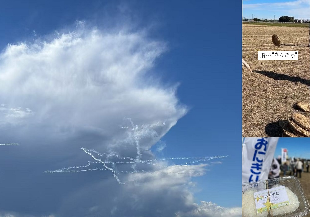 新米の季節です🍙