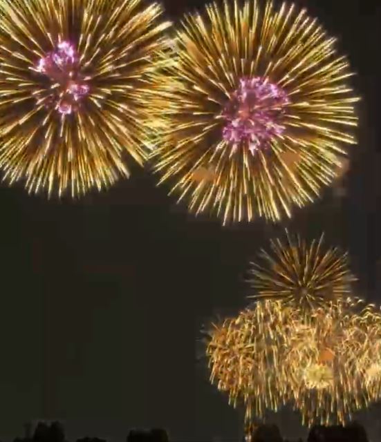 季節はずれの花と花火の話