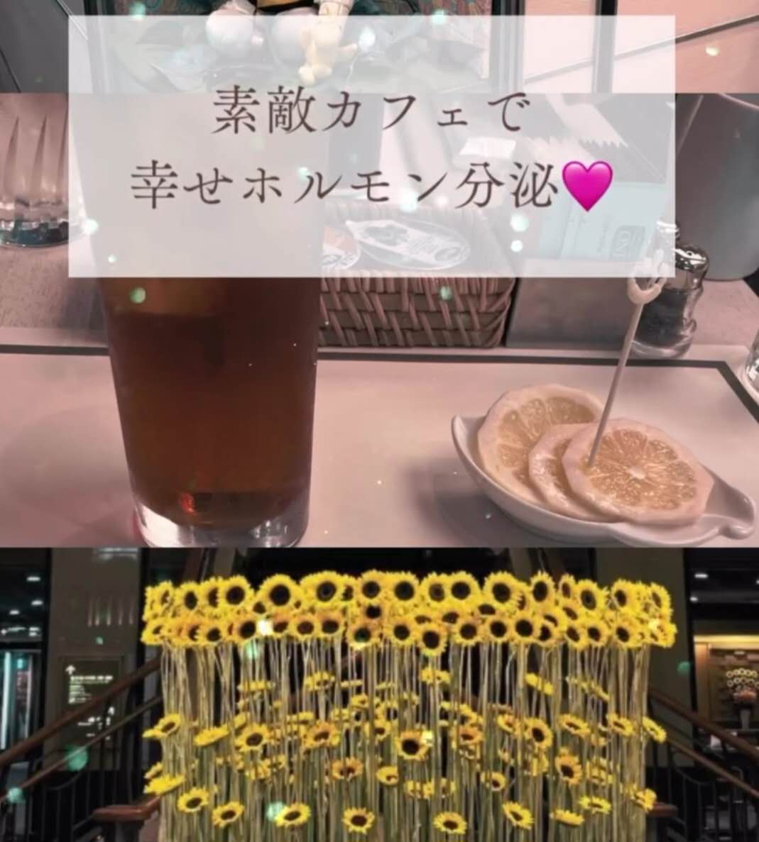 素敵カフェとセラトニンの話