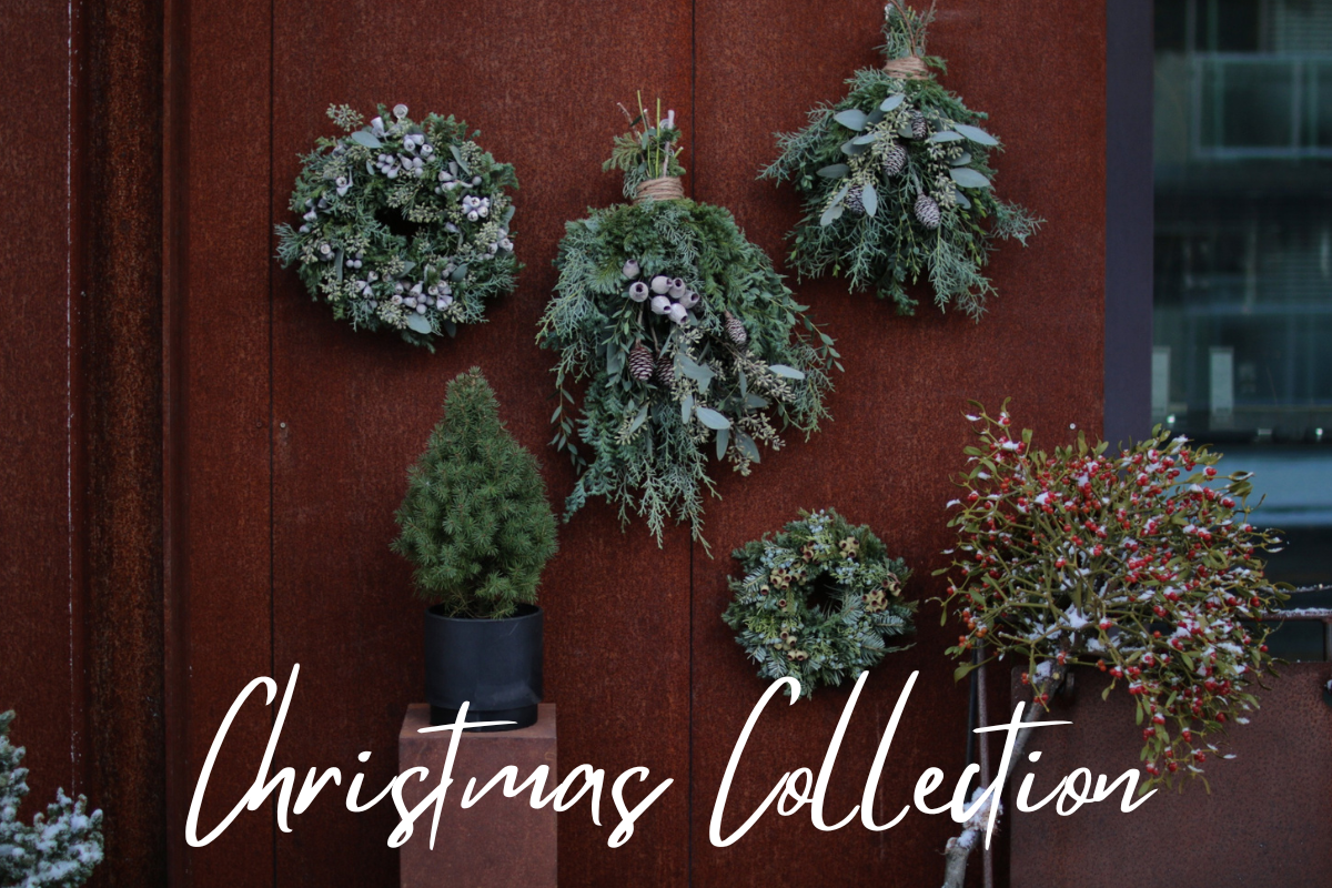 HOLIDAY 2025 – 針葉樹の香りとともに冬を迎えるためのご案内