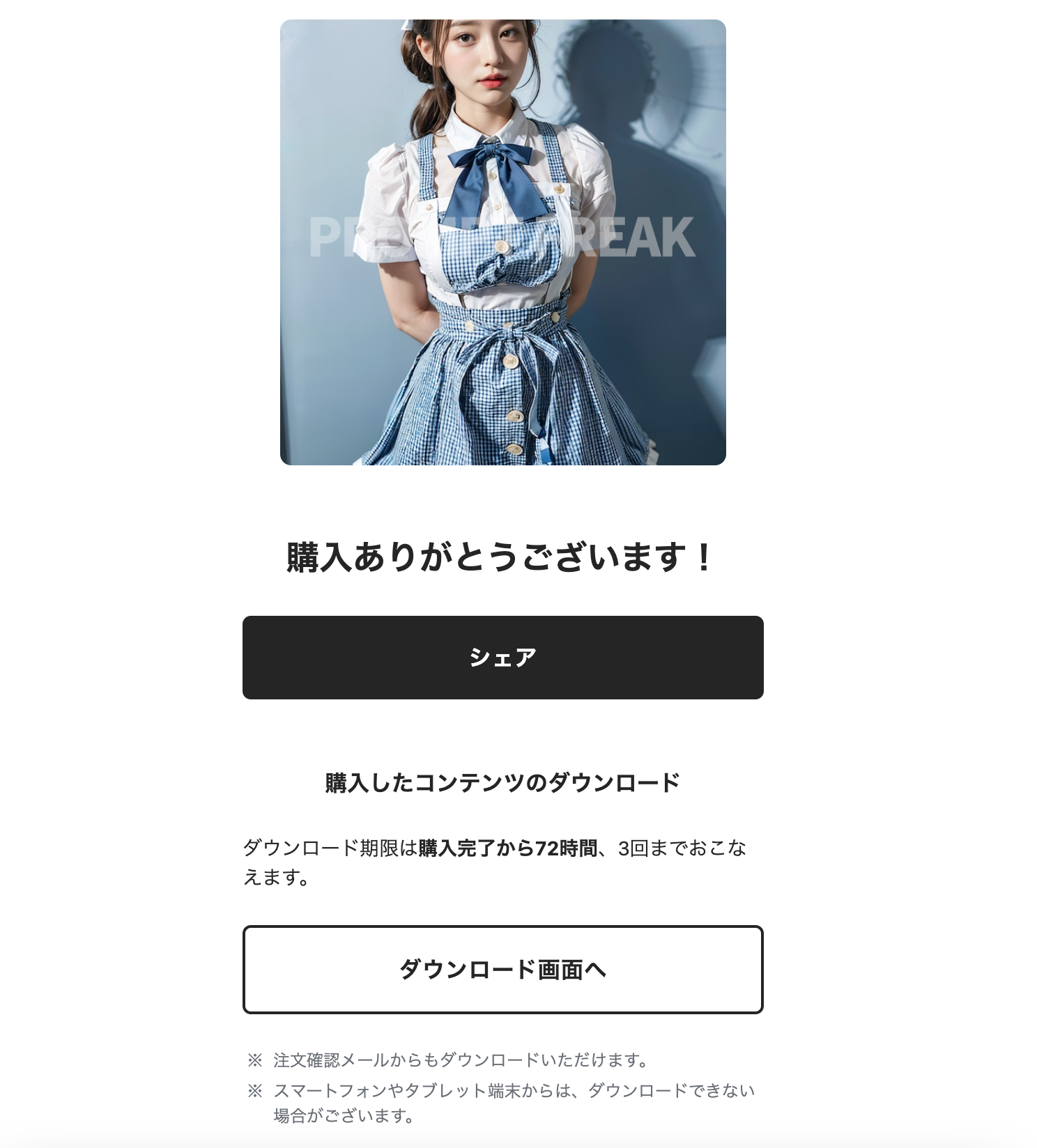 【購入マニュアル】購入後のダウンロード方法やPDFの中身について