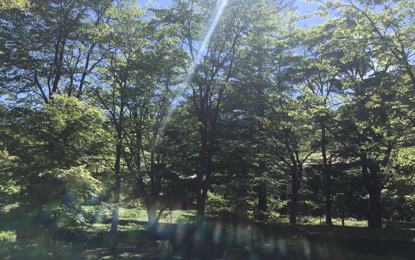 はじめまして、hikeです ---hikeってなんだろう---
