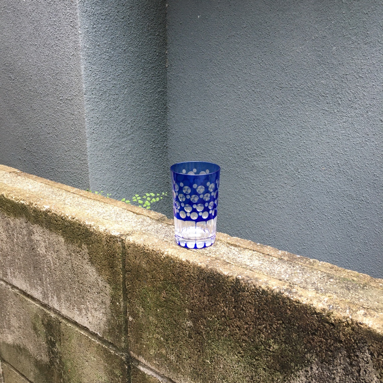 なんだか気になる #16