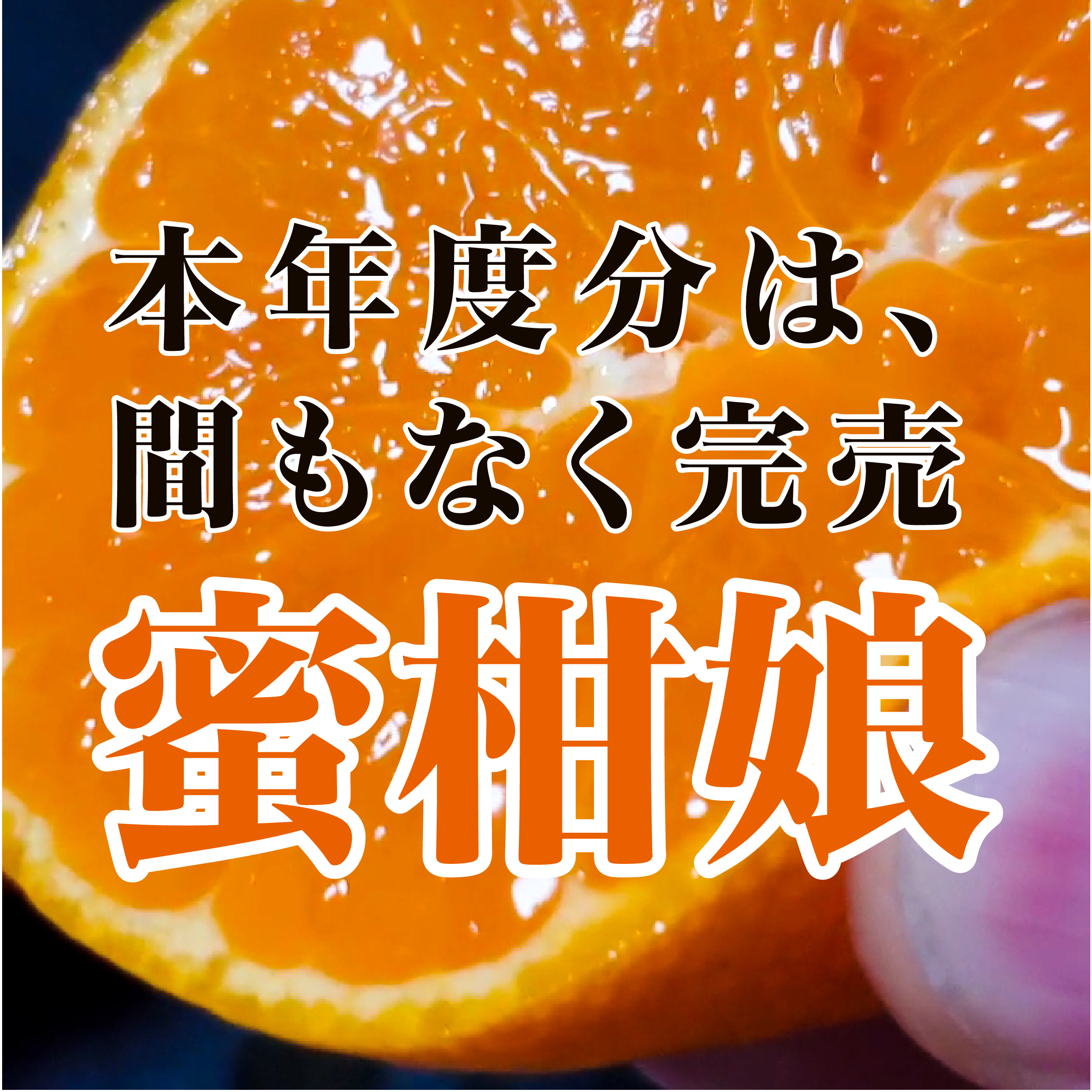 【蜜柑娘 名前の由来】なぜこの名前なのか