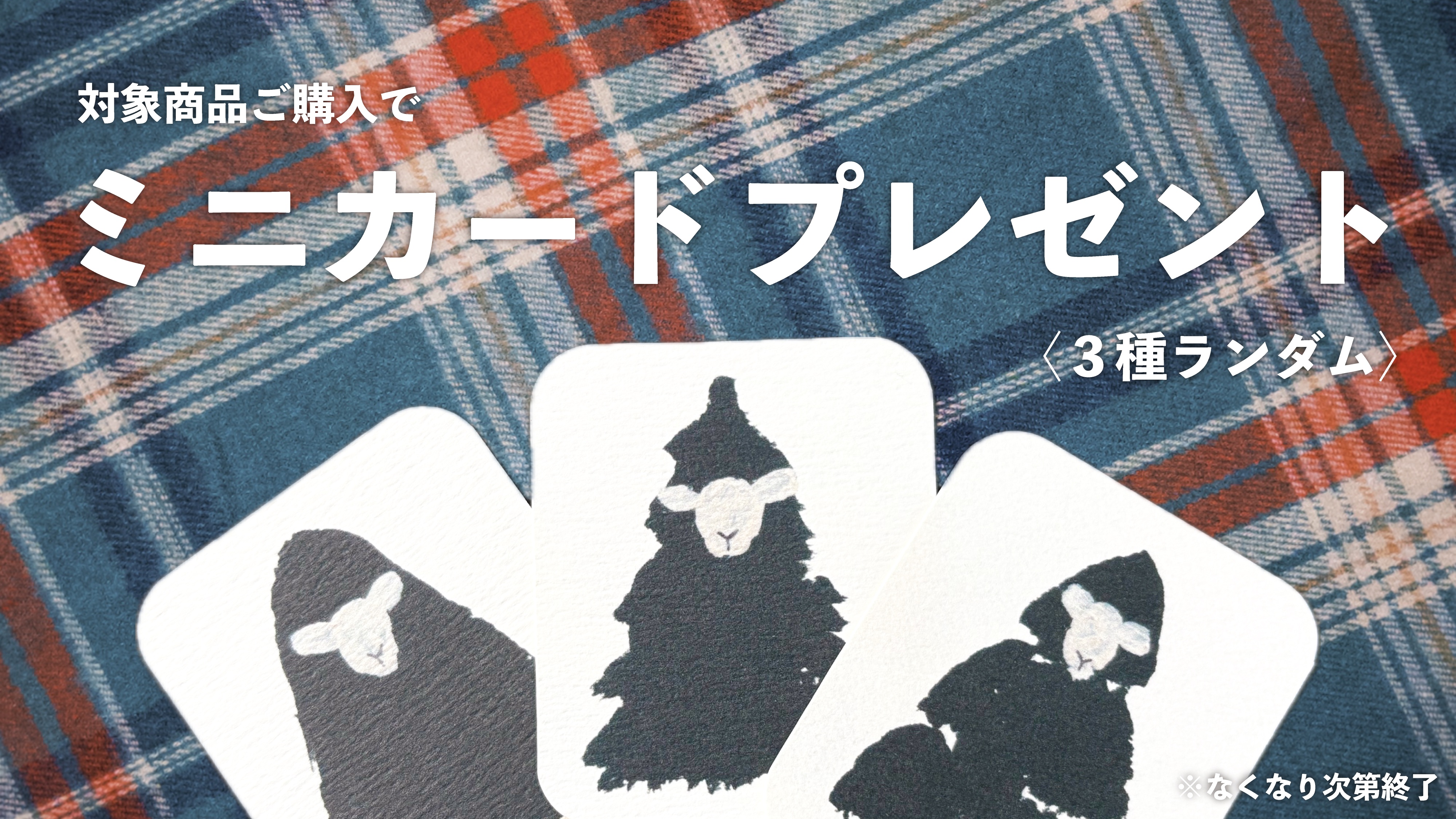 【ノベルティ】新商品ご購入でミニカードプレゼント🌲