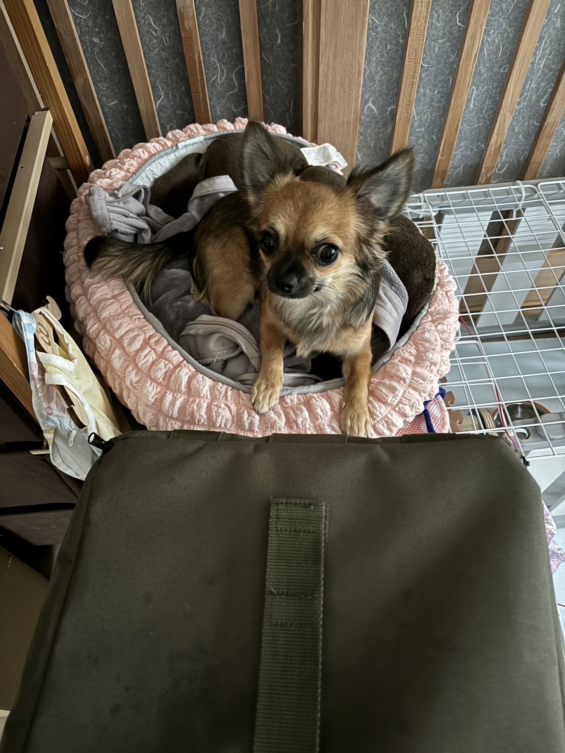 とうとうゲージを解体？！