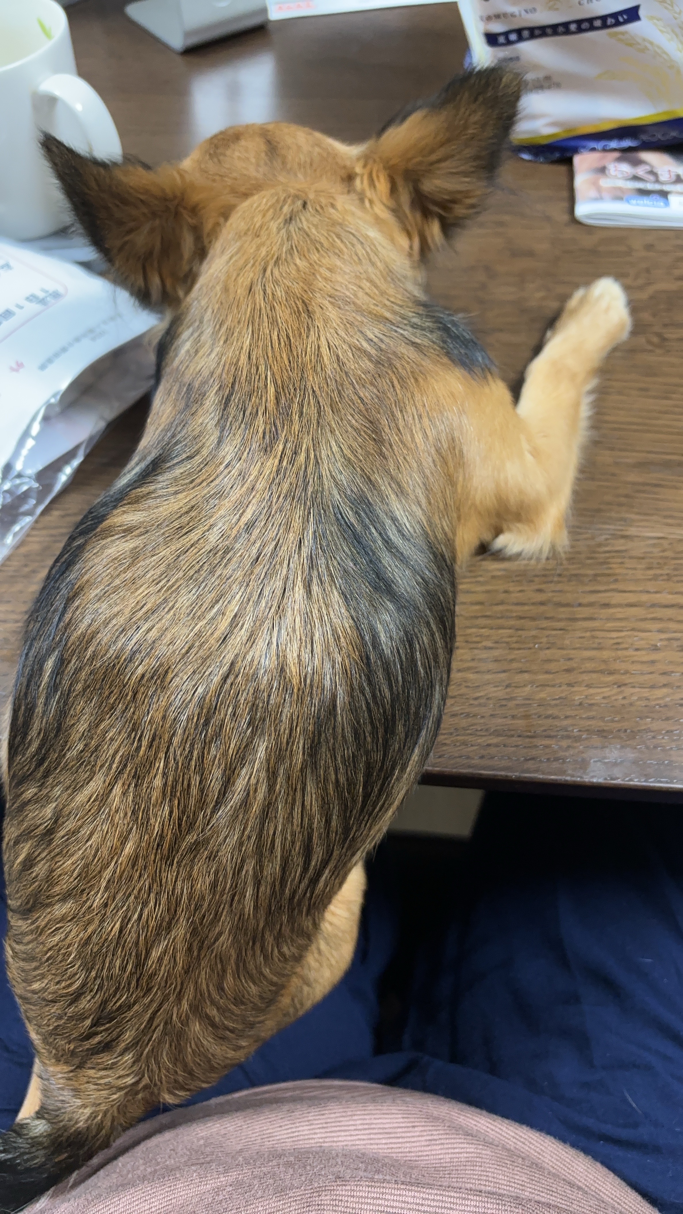 送料の変更について