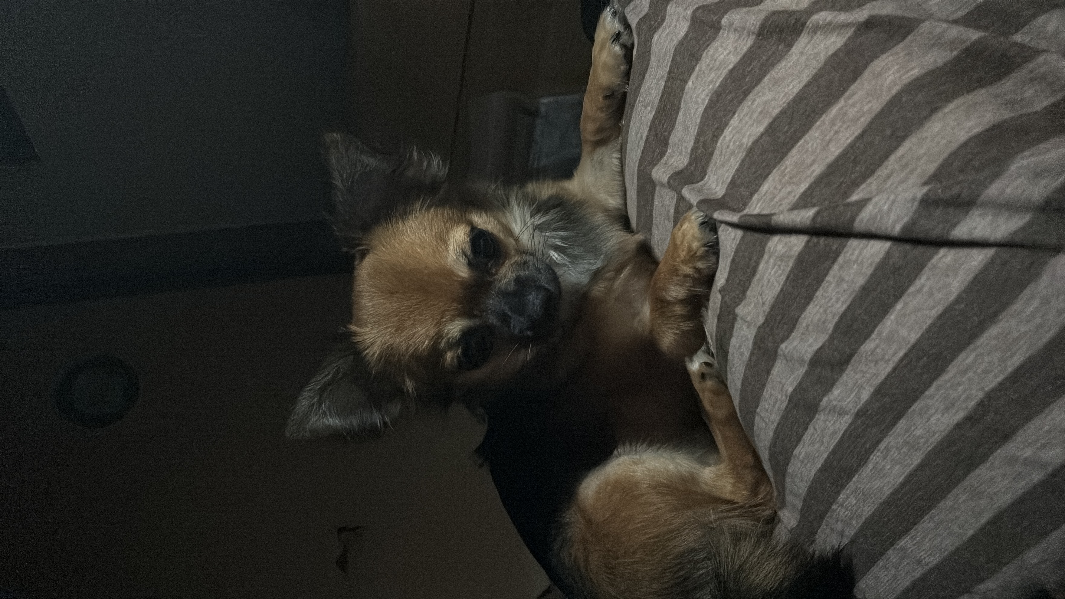 絶賛作成中です