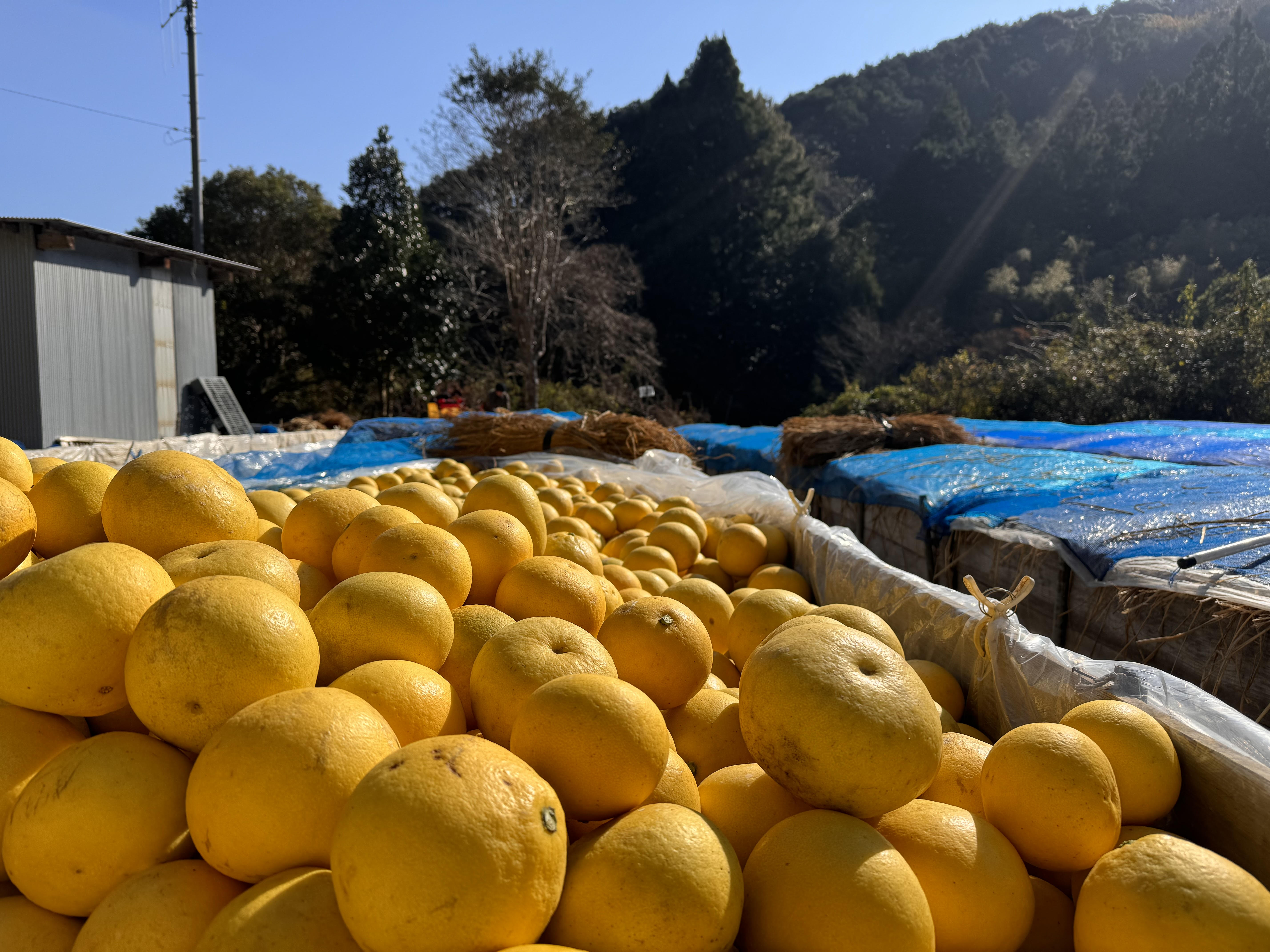 １月も今日で終わりですよ～！！