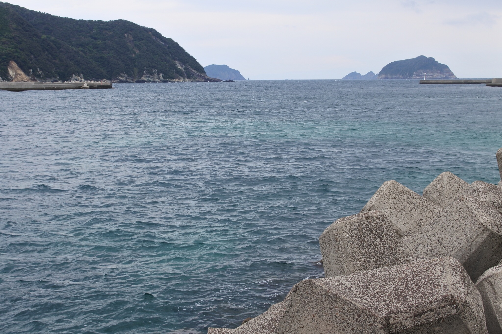 今日は旅の話です！！