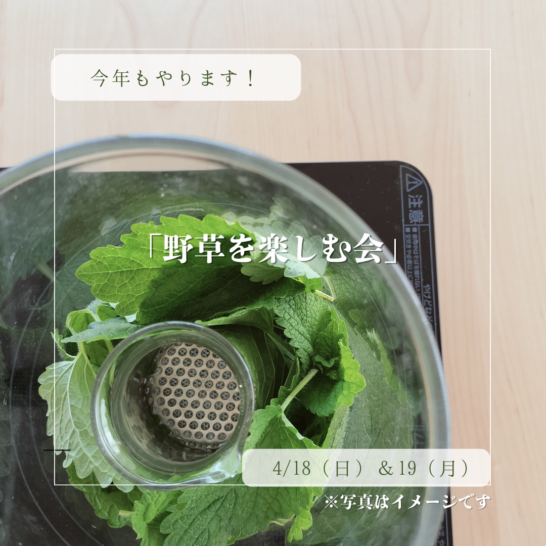 「野草を楽しむ会」4月から始まります!