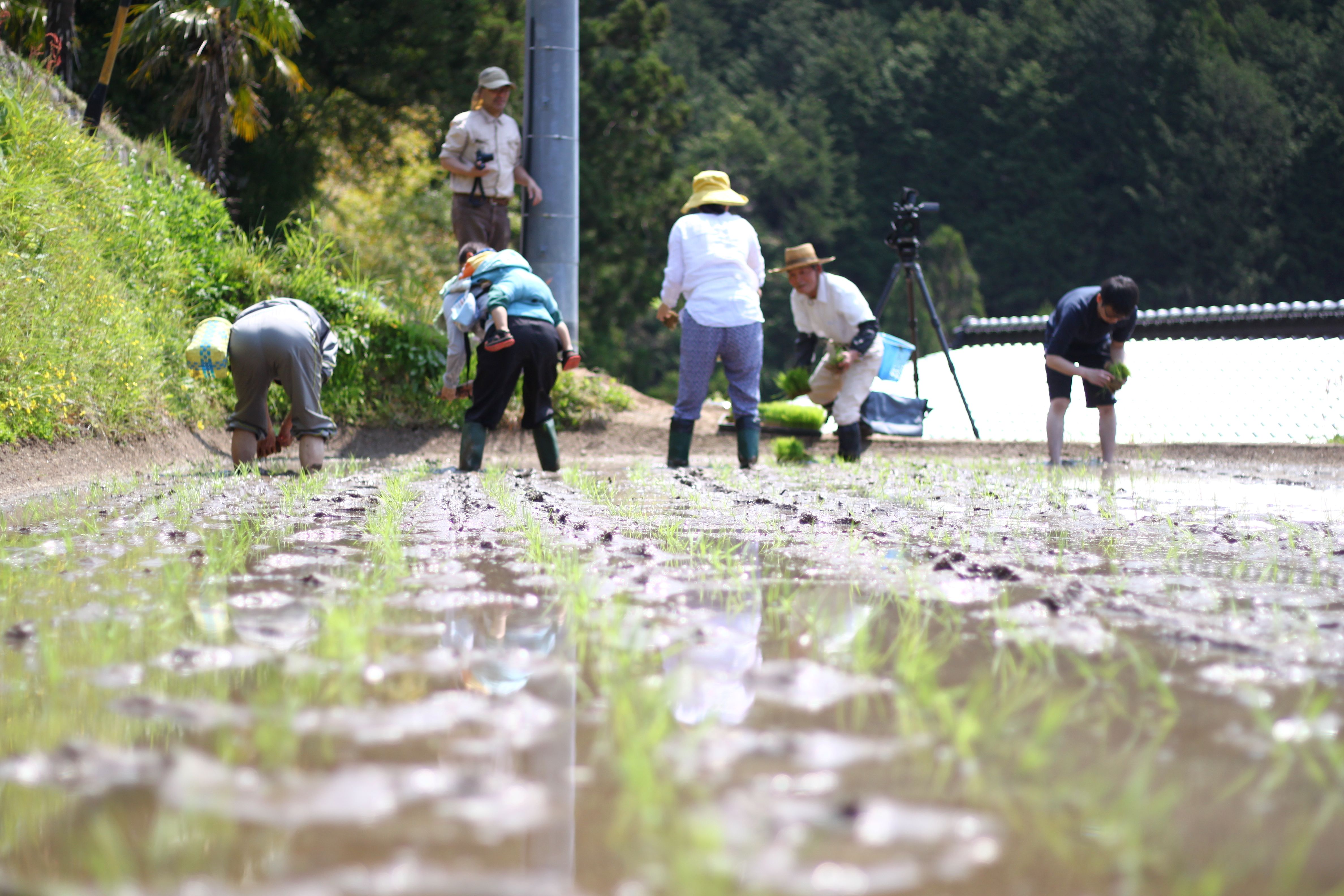 移住したもうひとつの理由